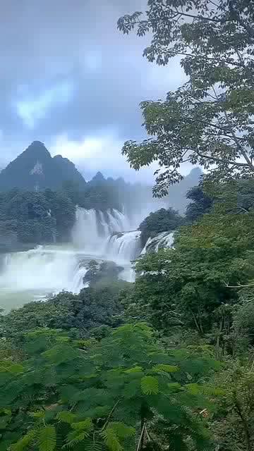 虫虫助手下载